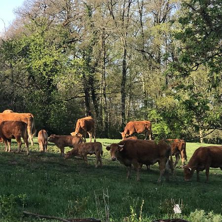 Les Ombrieres Bed & Breakfast Porcheresse ภายนอก รูปภาพ